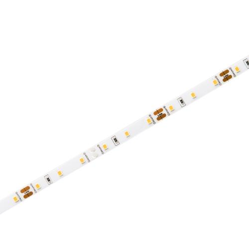 Imagem Produto FITA LED 8,0W POR METRO 6500K 12V (ROLO COM 5 METROS) - AVANT