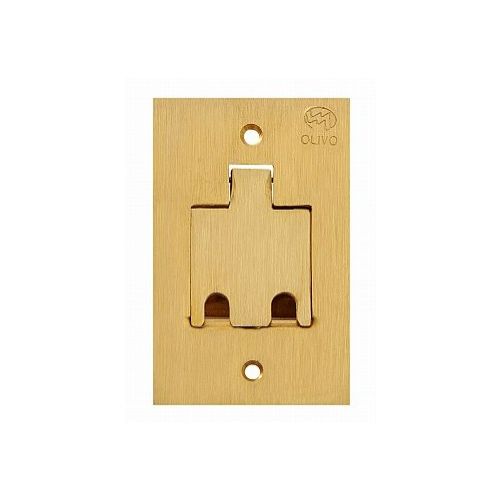 Imagem Produto TAMPA P/PISO LATAO ESCOVADO DOURADA 4X2 UNHA 2 RJ45 - OLIVO