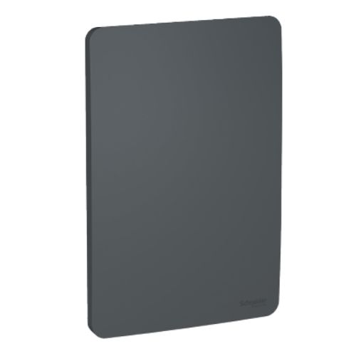 Imagem Produto PLACA 4X2 CEGA GRAFITE SEM SUPORTE ORION - SCHNEIDER