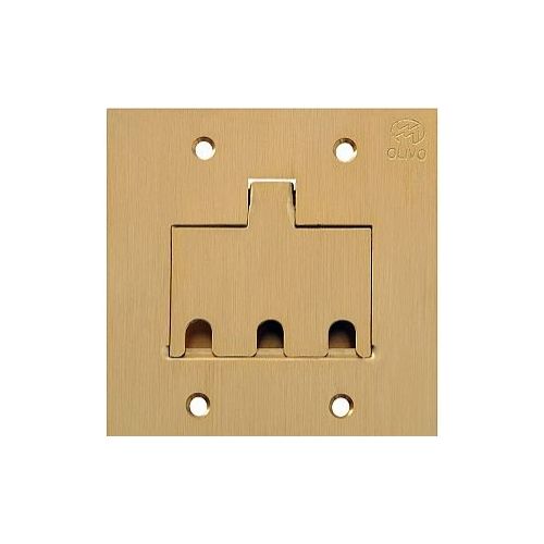 Imagem Produto TAMPA P/PISO LATAO ESCOVADO DOURADA 4X4 UNHA 3 RJ45 - OLIVO