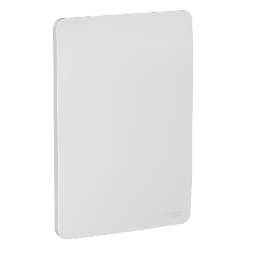 Imagem Produto PLACA 4X2 CEGA CINZA SEM SUPORTE ORION - SCHNEIDER