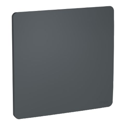 Imagem Produto PLACA 4X4 CEGA GRAFITE SEM SUPORTE ORION - SCHNEIDER