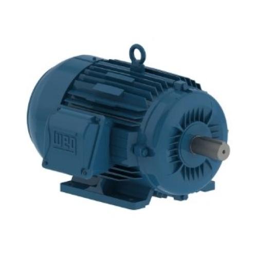 Imagem Produto MOTOR TRIFASICO 4P 0.25 CV 220/380V W22 - WEG